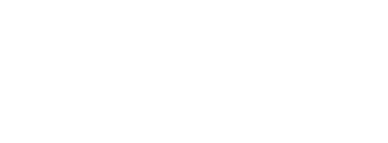 PLDG